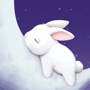 Meet your Posher, Bunny